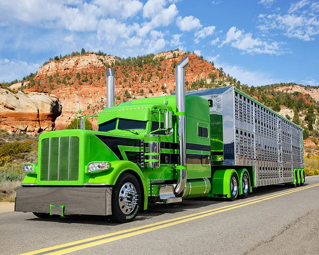 cattle hauling truck